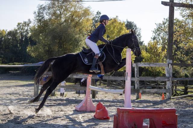 Belle et gentille jument ps 6 ans