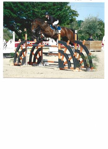 Hongre 9 ans prêt sur 125/130