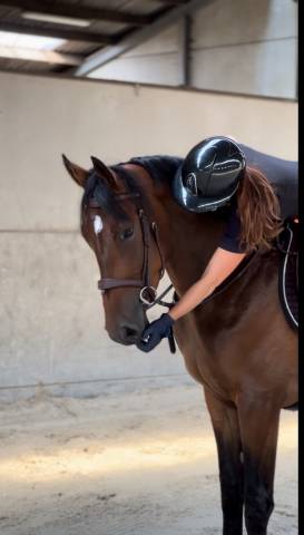 Burning man cityhorse z