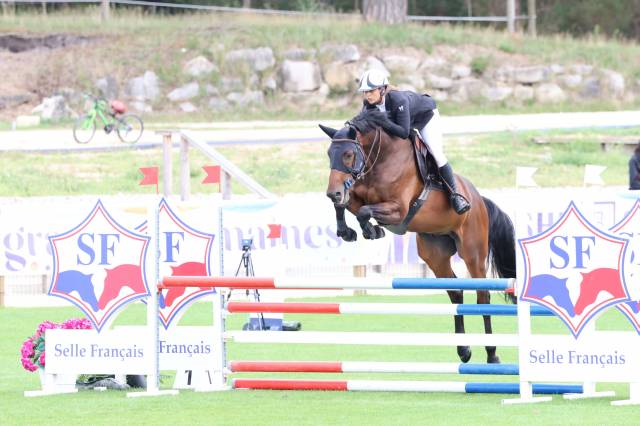 Top hongre 6 ans à vendre