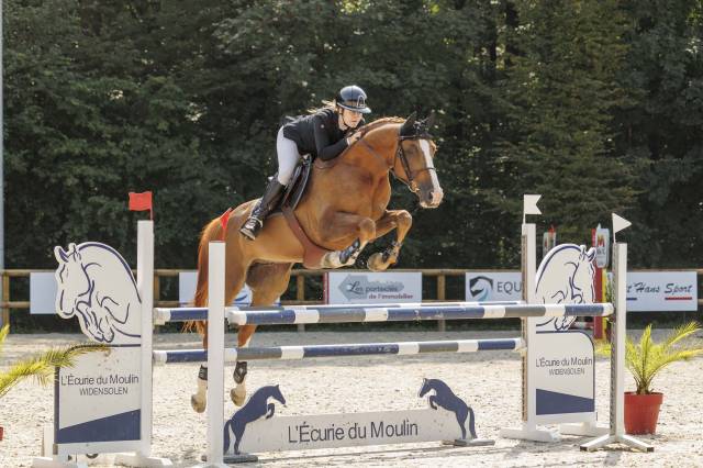 à vendre – cheval selle français de 9 ans