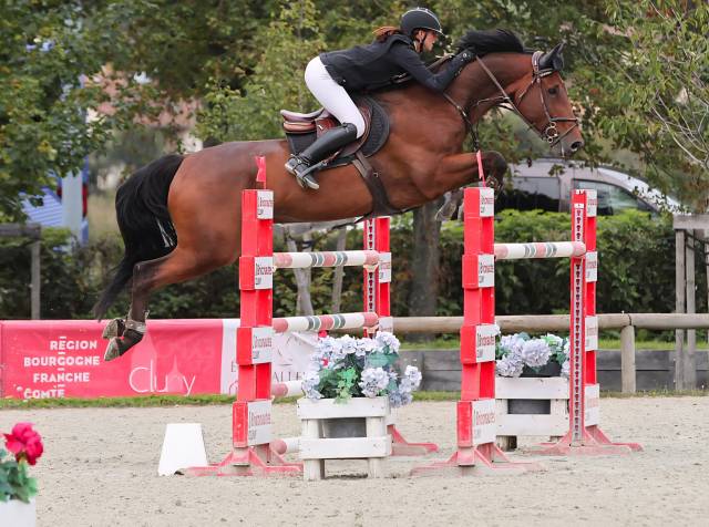 Super hongre de 9 ans débute 140