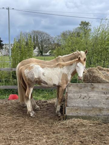 Olaf clairevue ?⛄️