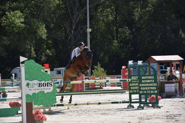 Hongre par nabab de rêve, top concours