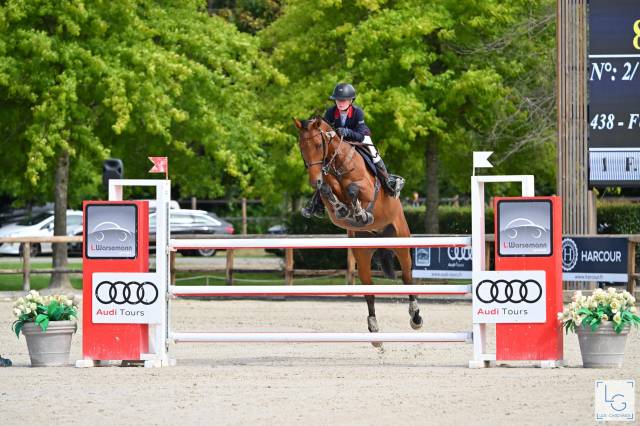 Selle français, de 10 ans