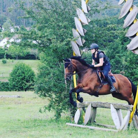 Jument ps pour loisirs