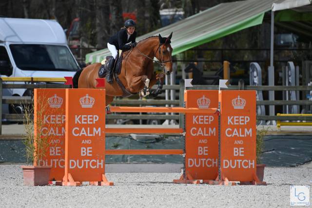 Cheval de 13 ans ayant classé 1m45