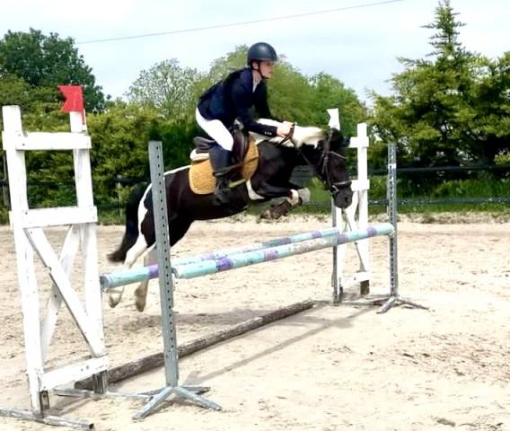 Super ponette a louer