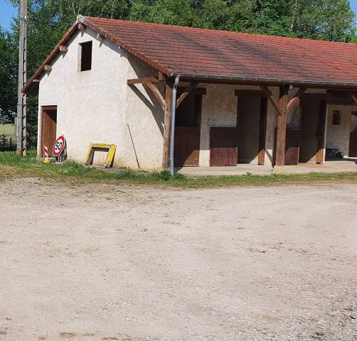 Pension chevaux jura