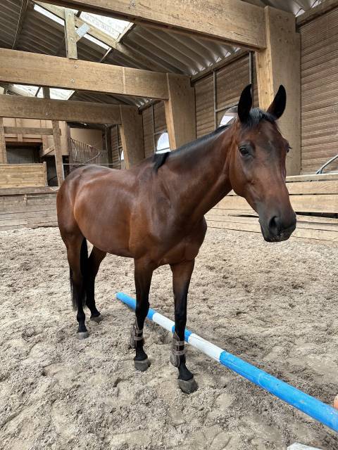 Recherche dp high five