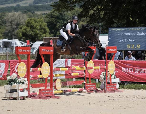 Hongre de 7 ans a vendre