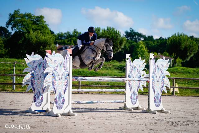 Jument aa 9 ans - cce 2/3* - cso 120/125