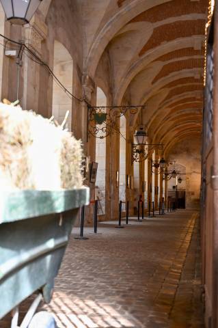 Palefrenier-soigneur