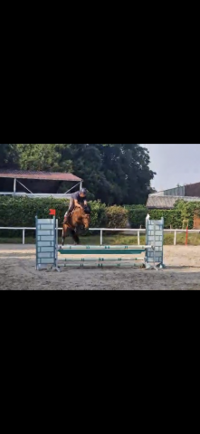 Little ponette de 4 ans