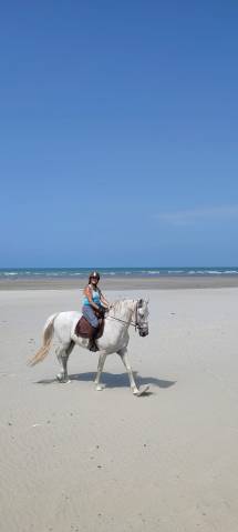 Chulo, pre plein papier, entier