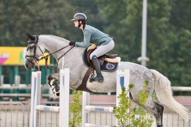 Jument 8 ans top amateur