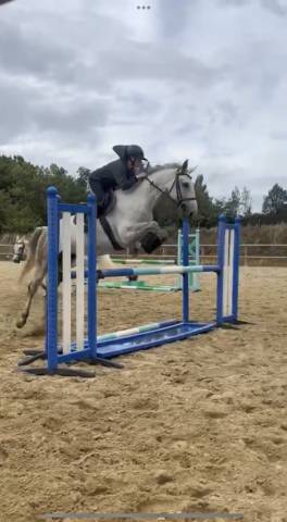 Demi-pension sur galao, hongre de 9 ans ?