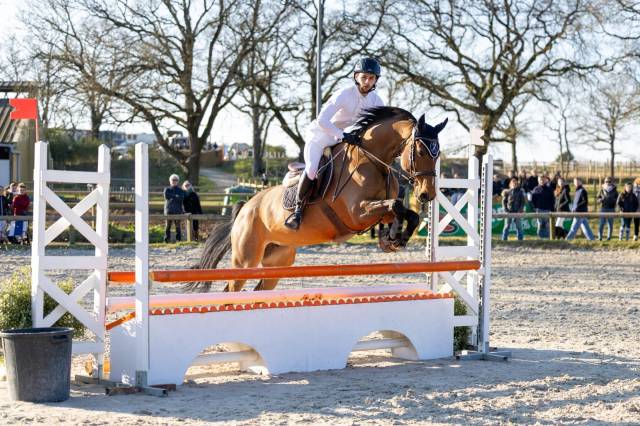 Laïsa jument hanovrienne de 10 ans