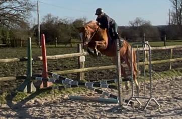 Lovstory de theyssamy