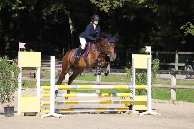 Cheval de sport - selle français - hongre né en 2021