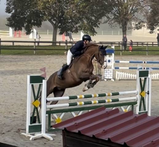 Just a star desetisse