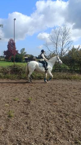 Recherche dp pour ubeau