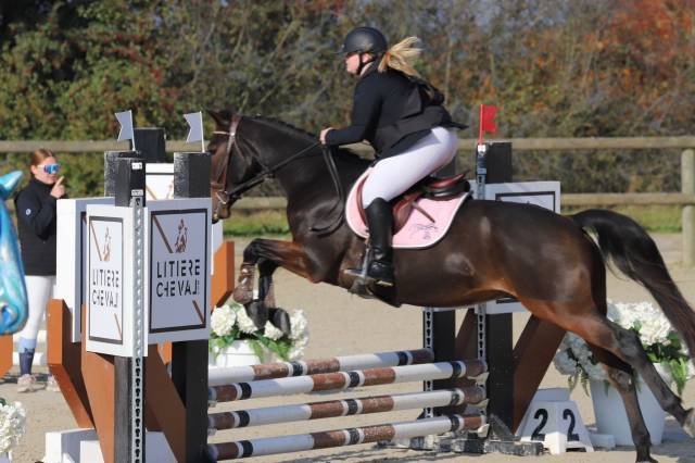 à vendre tf 9 ans cheval de loisir