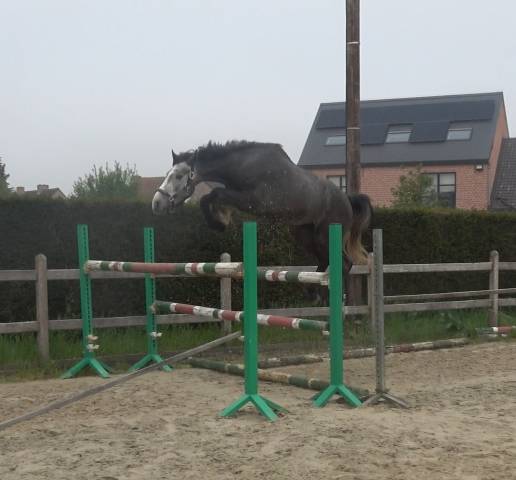 Prix spécial pour le bon pilote ambitieux promising bwp