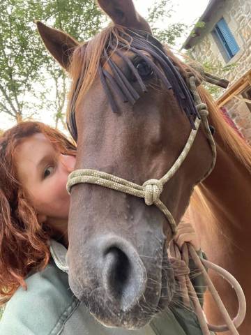 Jument alezane origine arabe