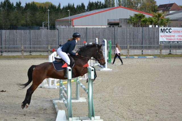 Connemara pp - 1m53 - 4 ans