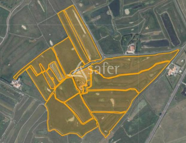 Longère vendéenne sur bel îlot de pâture