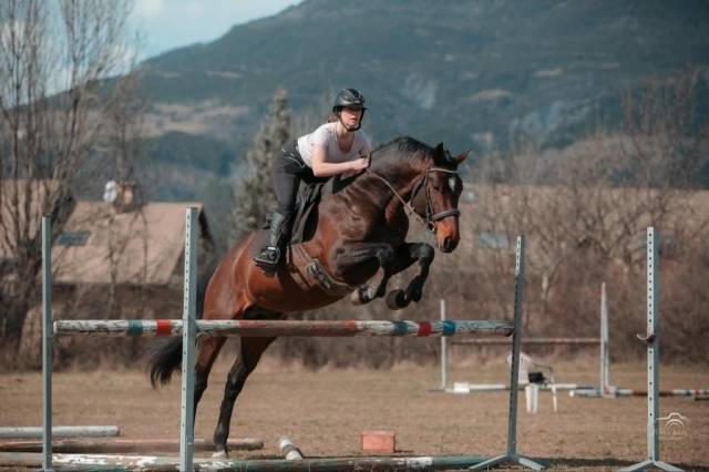 Superbe entier - 5 ans - cce