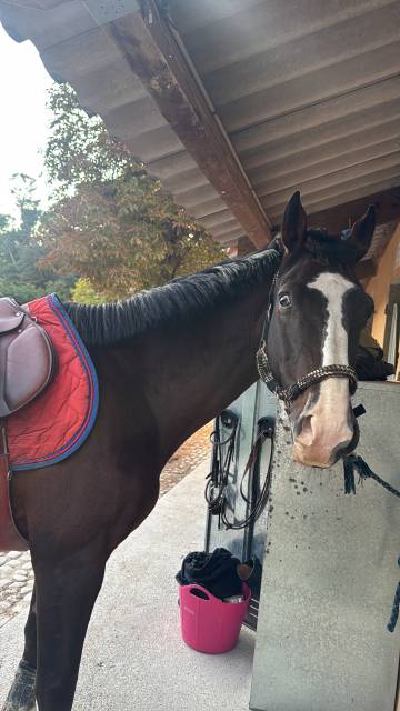 Demi pension aubagne