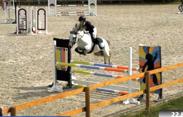 Poney de sport