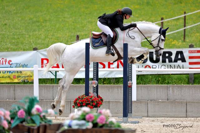 Oldenburg-international (os), gelding, 14 ans