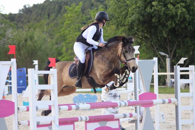 Pension poney connemara