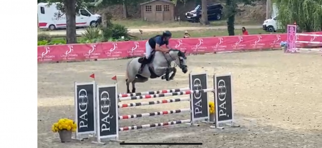 Jument 9 ans top cso