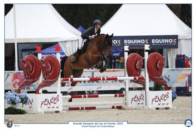 Hongre de 6 ans très concours