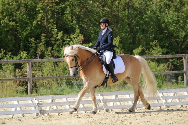 Demi pension halfinger