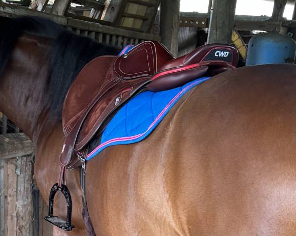 Selle cwd 2gs mademoiselle vends ou échange