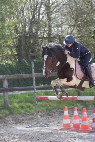 Kacy : sous le sapin