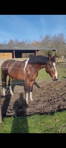 Adorable entier sf de 2012