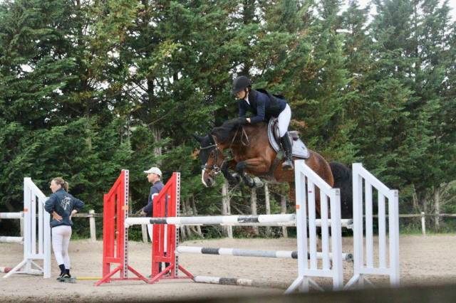 Jument 8ans pour cso