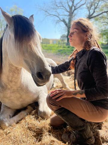 Cheval pour balade, dressage, trec