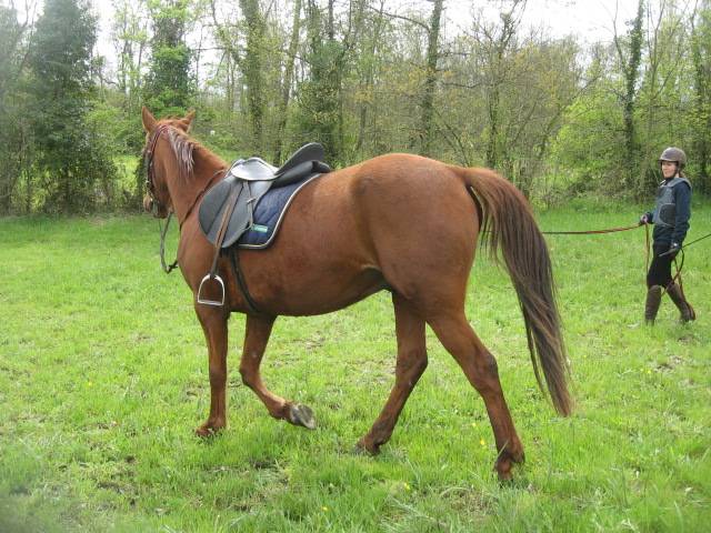 Tf loisir rando trec