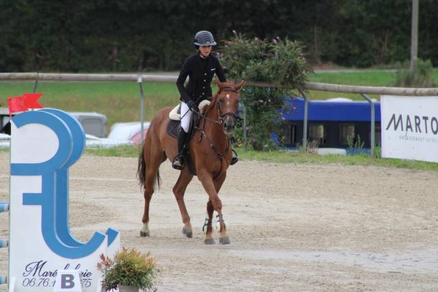 Javelot d’izkay, hongre de 6ans