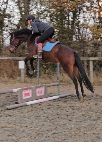 Poney sport & loisirs pfs 4 ans 2026