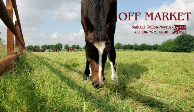 Domaine + de 30 hectares