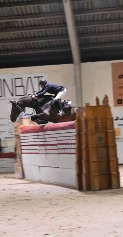 Forgerie a jamais cheval 10 ans