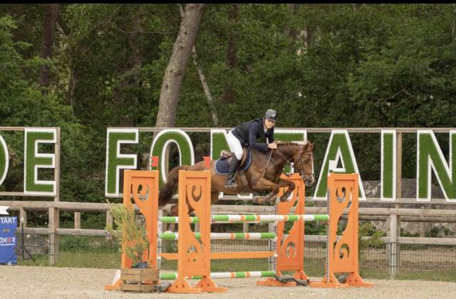 Poney de sport à louer